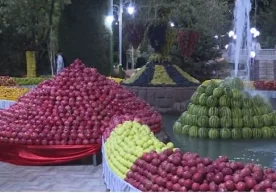 Rahmon KXSHT va SHHTga a’zo davlatlari yetakchilari sharafiga ziyofat uyushtirdi (video) фото