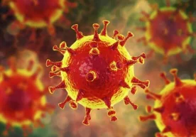 Epidemiolog koronavirusning yashirin quroli haqida to‘xtalib o‘tdi фото