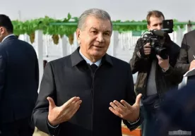“Қорилар маҳалласи” – Президентнинг таклифи аҳли илмларни тўлқинлантириб юборди фото