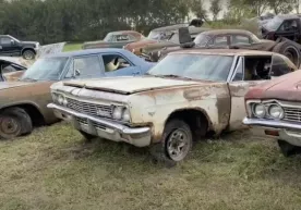 150 ta Chevrolet avtomobilidan iborat bo‘lgan «qabriston» topildi (video) фото
