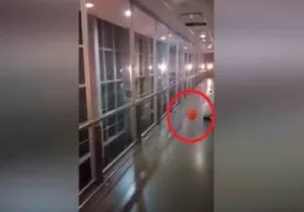 Касалхонада руҳ пайдо бўлиб, шарни ўйнатди (Видео) фото