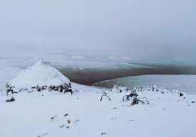 Африкада қор ёғди (видео) фото