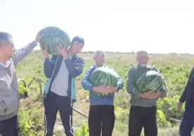 Уста деҳқонларни қўллаб-қувватлаш учун янги субсидия ва грант тизими жорий этилди фото