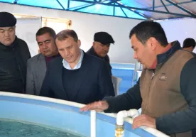 Спикер ўринбосари «Хонбалиқ» кластери орқали хонадонларда форель балиғини етиштиришни тавсия қилди фото