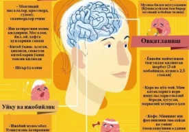 Xotirani qanday mustahkamlash mumkin? (infografika) фото