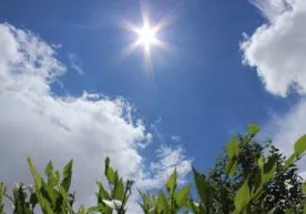 Sinoptiklar iyun oyida ob-havo qanday bo‘lishi to‘g‘risida ma’lumot berdi фото