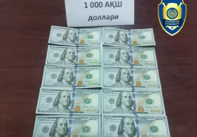 Sirdaryoda subsidiya asosida uy olib berish uchun fuqarodan ming dollar olgan shaxs qo‘lga tushdi фото