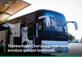 Тошкентдан Чорвоққа автобус қатнови бошланди фото