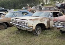 150 та Chevrolet автомобилидан иборат бўлган «қабристон» топилди (видео) фото
