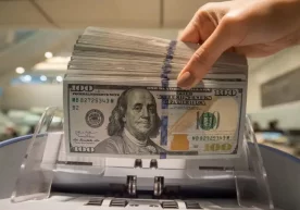 US dollar rises in Uzbekistan's exchange rates фото