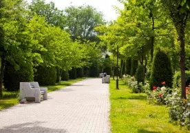 “O‘qituvchi va murabbiylar xiyobonlari” tashkil etiladi фото