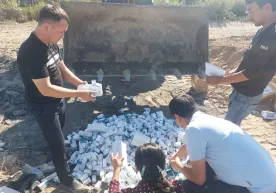 Бўкада 244 млн. сўмлик дори воситалари йўқ қилинди фото