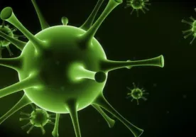 «Britaniyalik» koronavirus yana bir qit’ani zabt etdi фото