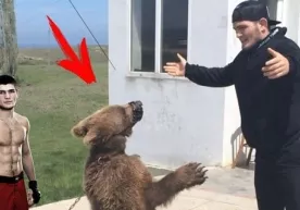 Британияликлар Ҳабибни айиқ билан олишгани учун танқид қилишди фото