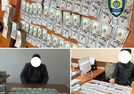 Prokuratura departamenti dollarchilarga qarshi «ov» qildi фото