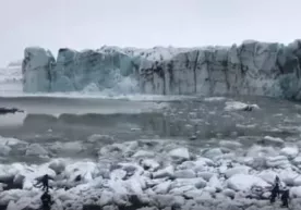 Bundan keyin oyoqni qoʻlga olib yugurmaslikning iloji yoʻq (video) фото