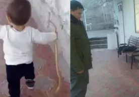 Toshkent viloyatida bolasiga ilon tutqazgan ota tushuntirish xati yozib berdi фото