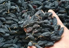 Oнa қизининг нoмини бyлғaди фото