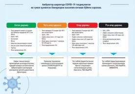 Коронавирус беморлари қандай сараланади? (инфографика) фото