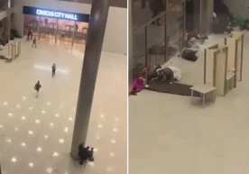 Moskva viloyatida terakt uyushtirishda gumonlanganlarning to‘rt nafarini shaxsi ma’lum bo‘ldi фото