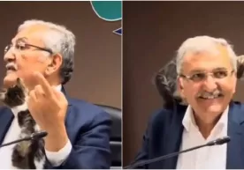 Turkiyada mushukcha majlisda nutq so‘zlayotgan siyosatchining ustiga chiqib oldi (video) фото