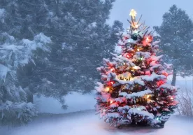 Машҳур Jingle Bells қўшиғи Янги йил байрами учун ёзилмагани маълум қилинди фото