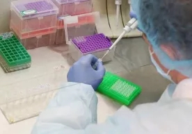Коронавирусга қарши вакцина синовининг дастлабки натижалари эълон қилинди фото