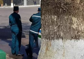 YPX inspektorlari yashirincha xizmat olib borishlari taqiqlanadi фото