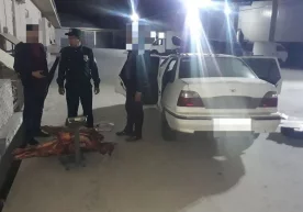 Сирдарёда Тошкентга олиб кетилаётган салкам 1,4 тонна истеъмолга яроқсиз гўшт тўхтатиб қолинди фото