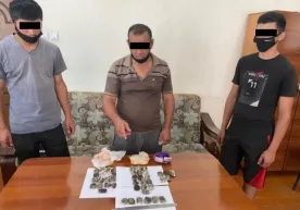 Bojxonachilar “gashish”ni pullamoqchi bo‘lgan shaxsni qo‘lga olishdi фото