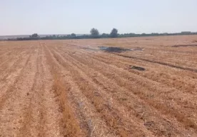 Оҳангаронда инспектор бир гуруҳ шахслар томонидан калтакланди фото
