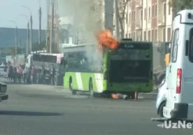 Паркент бозори атрофида яна бир Mercedes-Benz автобуси ёнди (фото, видео) фото