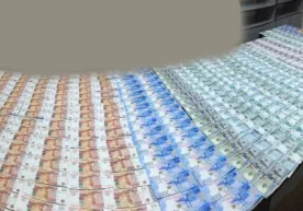 Қўл сумканинг астари ичига яширилган катта миқдордаги валюта фош этилди фото