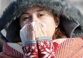 Koronavirus va gripp yuqishidagi tafovutlar aniqlandi фото
