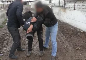 Сирдарёда мол ўғрилари бозорда қўлга олинди (фото) фото