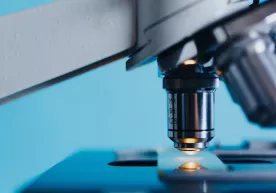 Olimlar koronavirus uchun qopqon o‘ylab topishdi фото