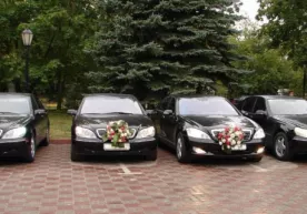 Блогер Сенатга тўй кортежларидаги автомобиллар сони бўйича таклиф берди фото