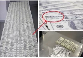 Божхоначилар 60 000 қалбаки долларни фош этишди фото