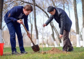 11—12 март кунлари Ўзбекистонда умумхалқ ҳашари ўтказилади фото