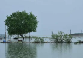 Qozog‘iston O‘zbekistonga nota yo‘lladi (video) фото