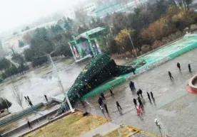 Термизда янги йил арчаси қулаб тушди фото