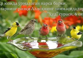 Ризқнинг калитларини биласизми? фото