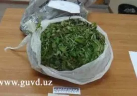 Сергели туманида фуқаро 3 килограмм марихуана билан ушланди фото