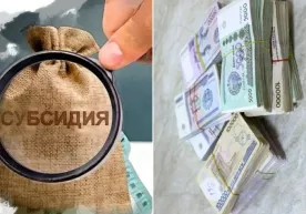 Аҳолини тадбиркорликка жалб қилиш учун субсидиялар берилади фото