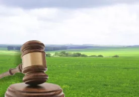 Yer uchastkalari kimlarga auksionsiz beriladi? фото