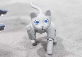 Xitoy kompaniyasi robot mushukni namoyish etdi (video) фото