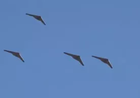 Rossiya bir yilda Ukrainaga ikki mingdan ortiq Shahed uchirdi фото