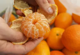 Mandarinlarning foydasi va zarari haqida diyetolog fikri фото