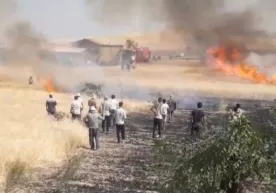 Kitob tumanida fermerning g‘alla ekilgan maydonida yong‘in sodir bo‘ldi (video) фото