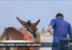 Farg‘onada eshak so‘yib sotgan yana bir qassob qo‘lga tushdi (video) фото